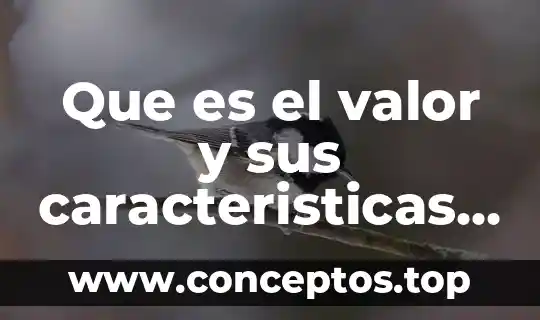 Que es el valor y sus caracteristicas segun max scheler