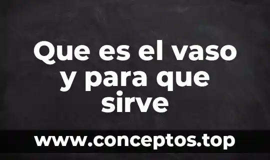Que es el vaso y para que sirve