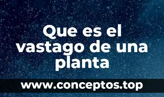 Que es el vastago de una planta