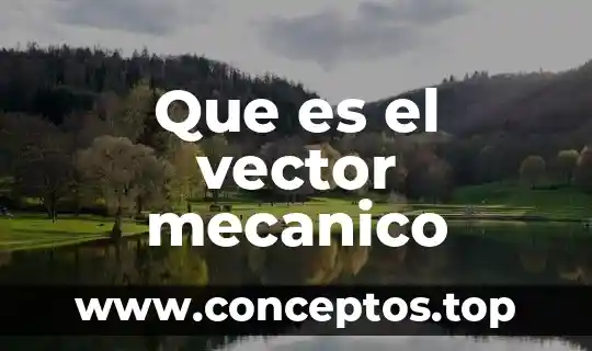 Que es el vector mecanico