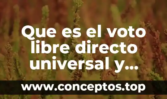 Que es el voto libre directo universal y secreto