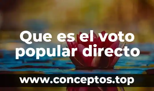 Que es el voto popular directo