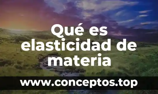 Que es elasticidad en economia con variantes 8 Qué es elasticidad de materia