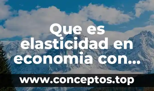 Que es la elasticidad cruzada en economia 7 Que es elasticidad en economia con variantes