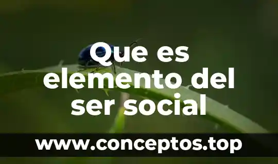 Que es ser maestro profesional 3 Que es elemento del ser social