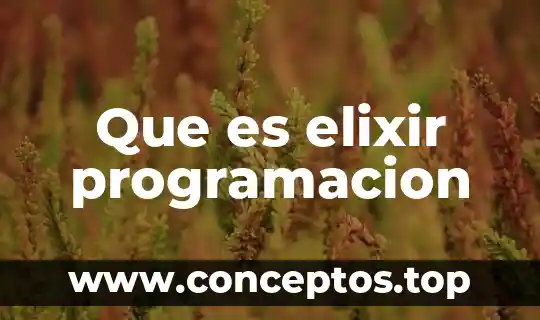 Programacion integrativa que es 4 Que es elixir programacion