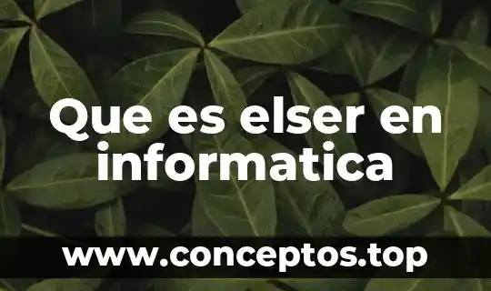 Que es elser en informatica