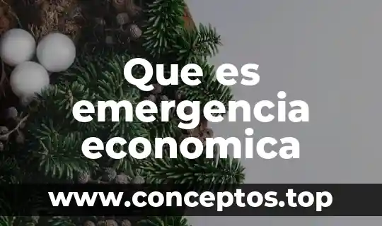 Que es emergencia economica