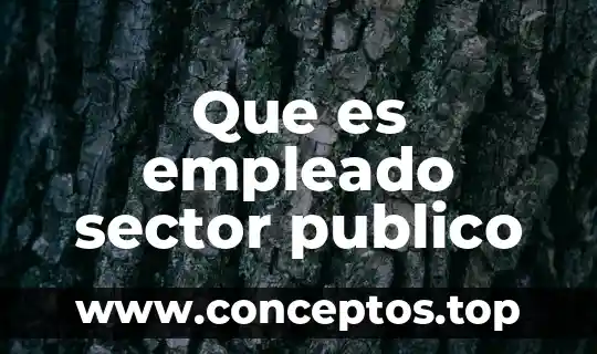 Que es empleado sector publico