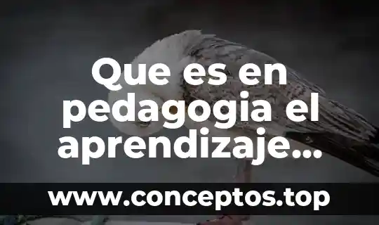 Que es en pedagogia el aprendizaje activo