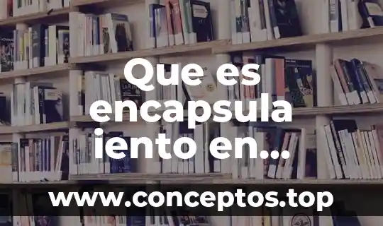 Que es encapsula iento en programacion
