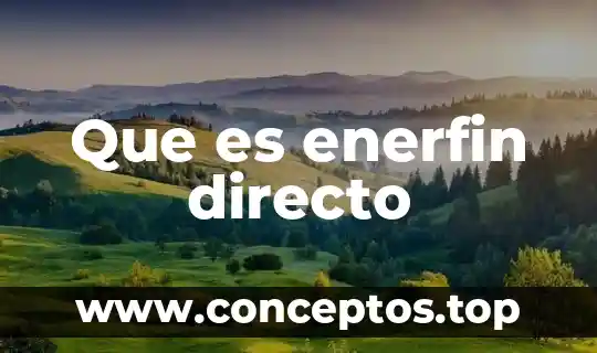 Que es enerfin directo