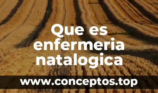 Que es enfermeria natalogica