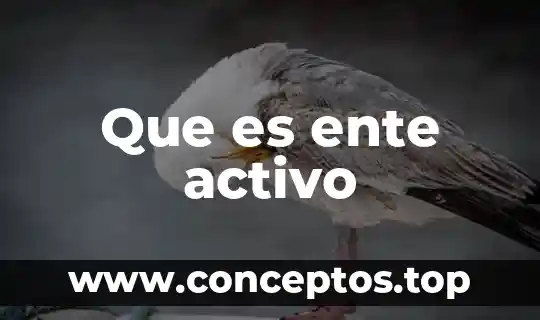 Que es el ente publico 6 Que es ente activo