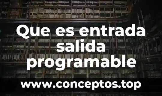 Que es entrada salida programable