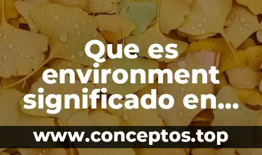 Que es environment significado en inglés