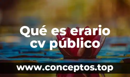 Globalcard s.a de c.v que es 5 Qué es erario cv público