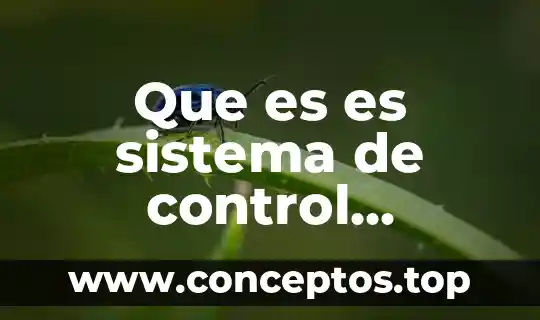 Que es es sistema de control administrativo y sus tipos