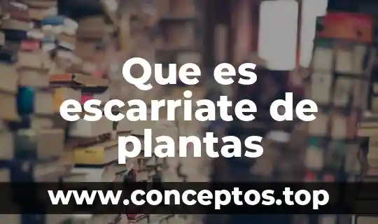 Para que es la oxitetraciclina en las plantas 5 Que es escarriate de plantas