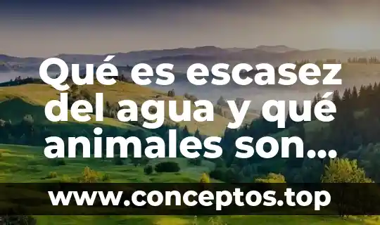 Que es soñar con un remolino de agua 3 Qué es escasez del agua y qué animales son afectados