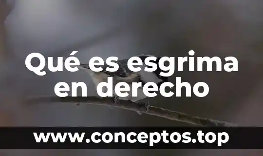 Qué es esgrima en derecho