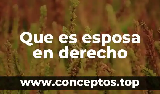 Que es esposa en derecho