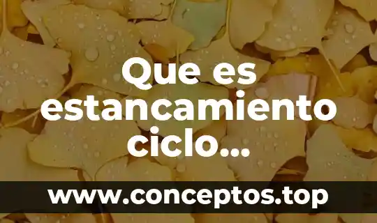 Que es estancamiento ciclo economico