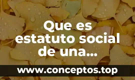 Que es estatuto social de una empresa