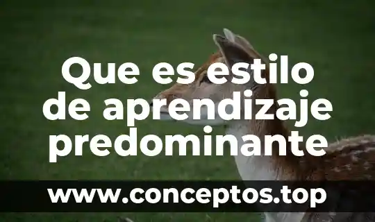 Que es estilo de aprendizaje predominante