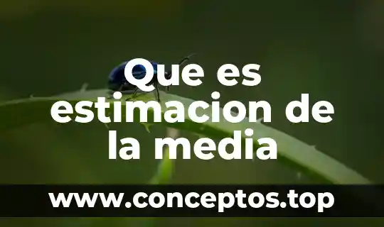 Que es estimacion de la media