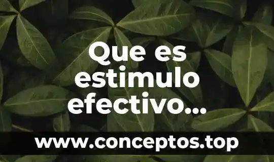Que es estimulo efectivo fisiologia