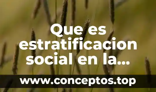 Que es estratificacion social en la educacion