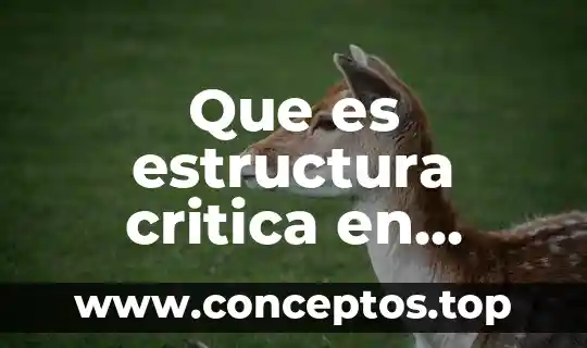 Que es estructura critica en jeneral