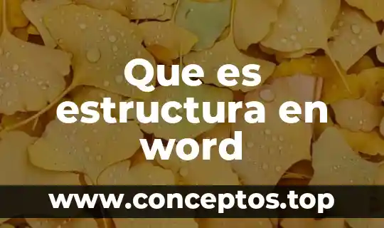 Que es estructura en word