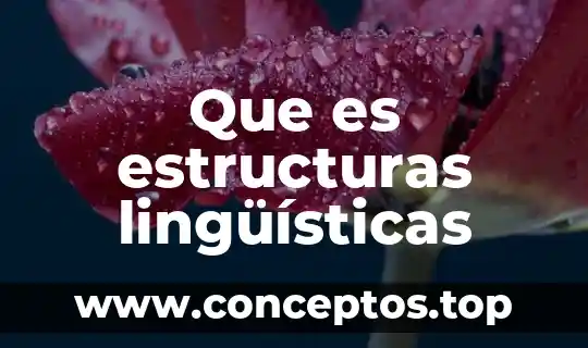 Argumento científico que es 4 Que es estructuras lingüísticas