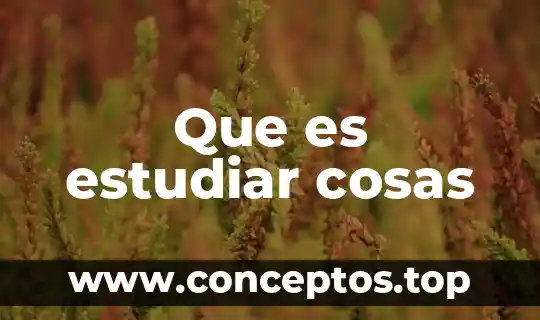 Que es estudiar cosas