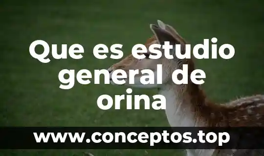 Qué es una prueba de embarazo via orina 5 Que es estudio general de orina