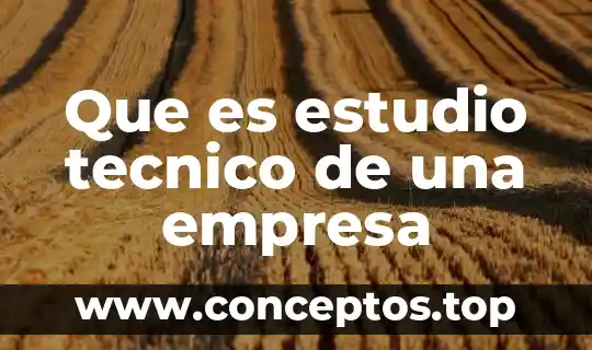 Que es un glioma tecnico 5 Que es estudio tecnico de una empresa