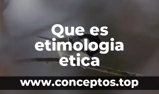 Investigar qué es la etimología grecolatina 3 Que es etimologia etica