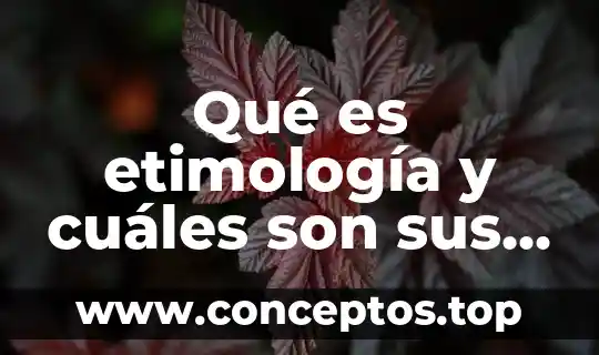 Investigar qué es la etimología grecolatina 4 Qué es etimología y cuáles son sus raíces