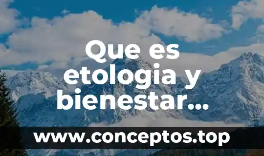 Que es creatividad animal ejemplos 5 Que es etologia y bienestar animal