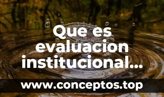 Que es evaluacion institucional segun el autor 7501060414132