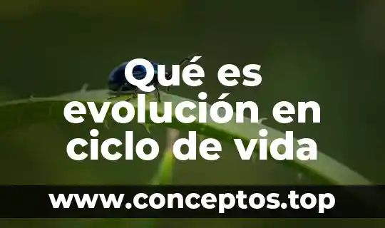 Qué es el lipsip de la vida 7 Qué es evolución en ciclo de vida