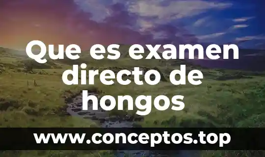 Que es examen directo de hongos