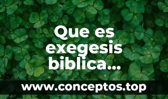 Que es exegesis biblica definicion