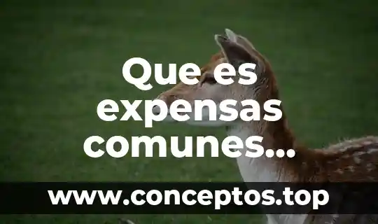 Que es untivioltico y nombre de los mas comunes 7 Que es expensas comunes necesarias