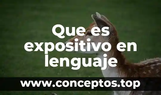 Que es expositivo en lenguaje