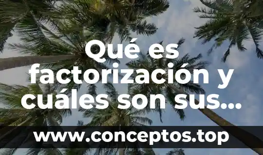 Qué es factorización y cuáles son sus características