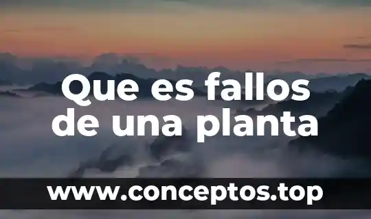 Para que es la planta mohuite 5 Que es fallos de una planta