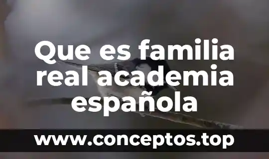 Que es familia real academia española